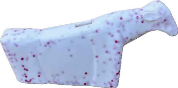 Calf Body Dummy - Image 2