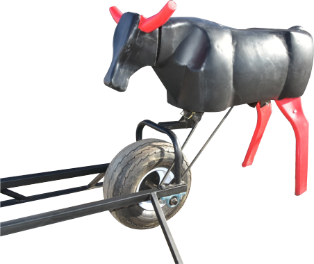 Roping Dummies